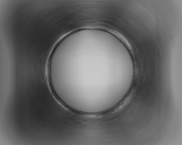 X0000102800855200808180931