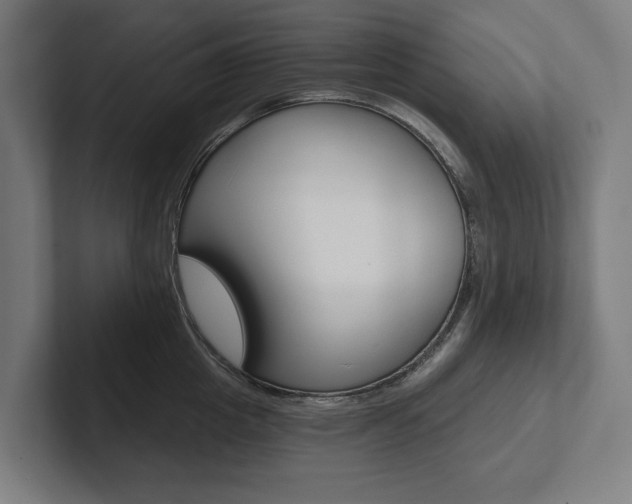 X0000102800857200808180931