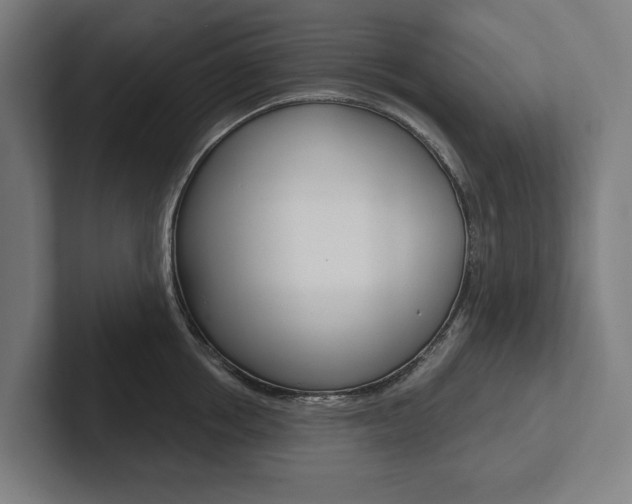X0000102800858200808180931