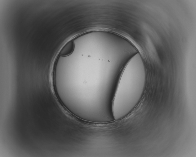 X0000102800861200808180931