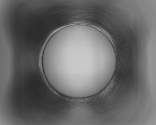 X0000102800862200808180931