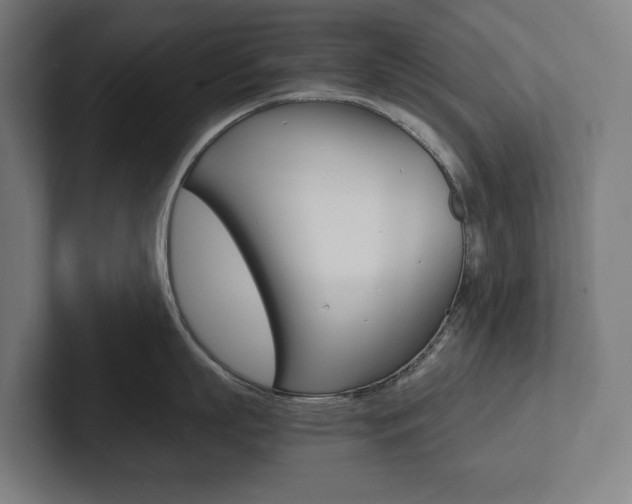 X0000102800863200808180931