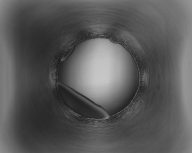 X0000102800868200808180930