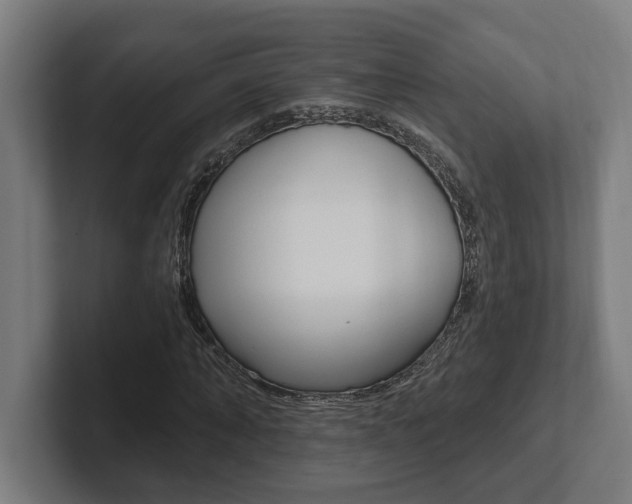 X0000102800870200808180930