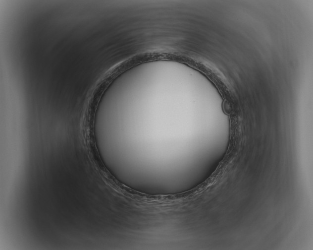X0000102800872200808180930