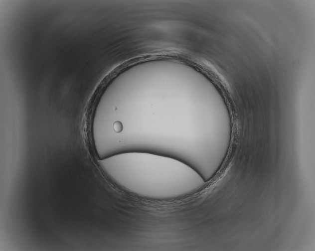 X0000102800875200808180930
