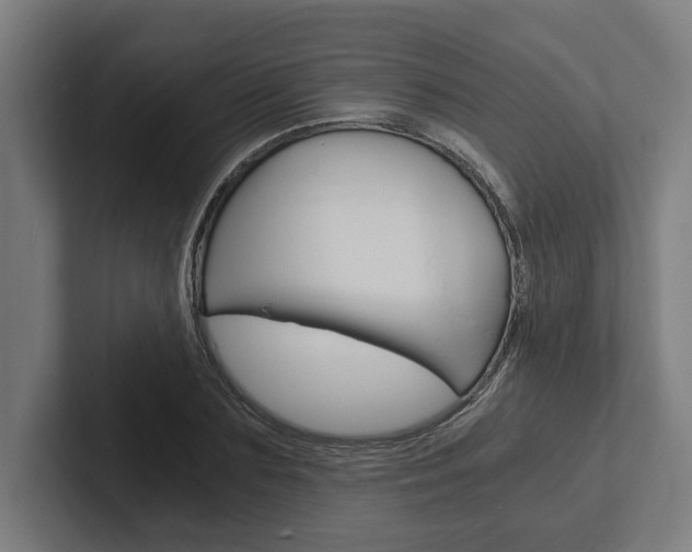 X0000102800883200808180930