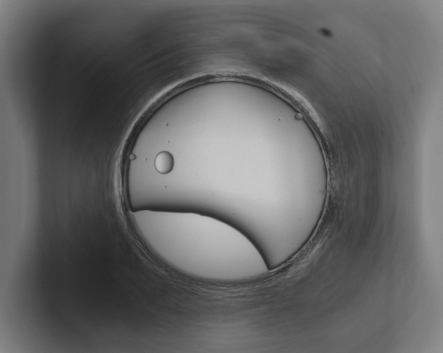 X0000102800887200808180930
