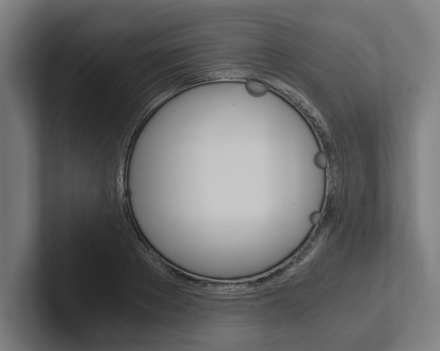 X0000102800889200808180930