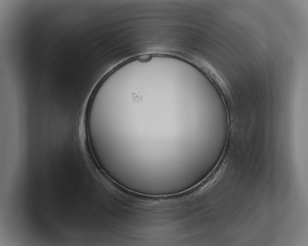 X0000102800892200808180930