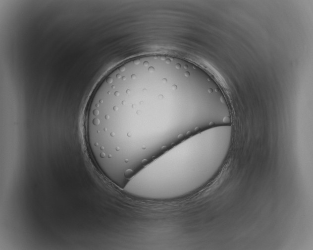 X0000102800899200808180930