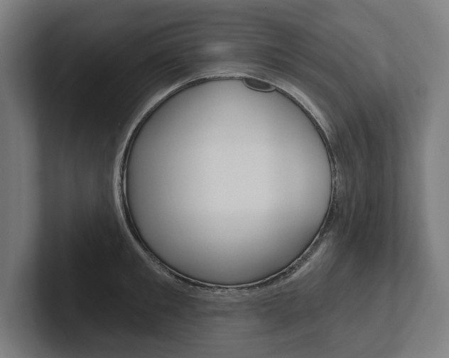 X0000102800901200808180930