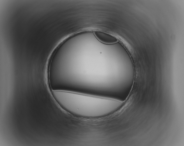 X0000102800902200808180930