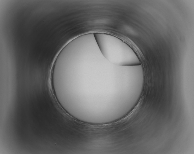 X0000102800908200808180930