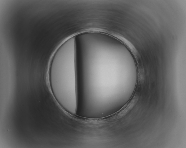 X0000102800910200808180930