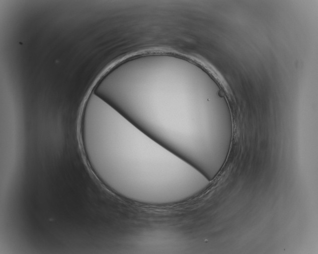 X0000102800911200808180930