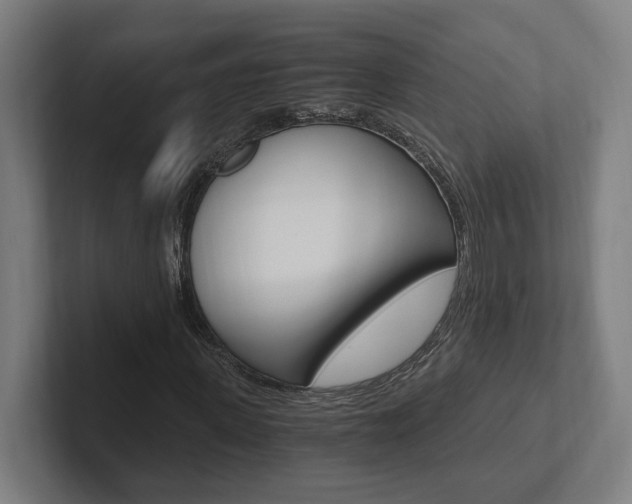 X0000102800915200808180929