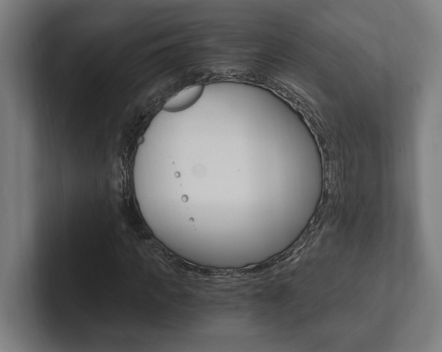 X0000102800917200808180929