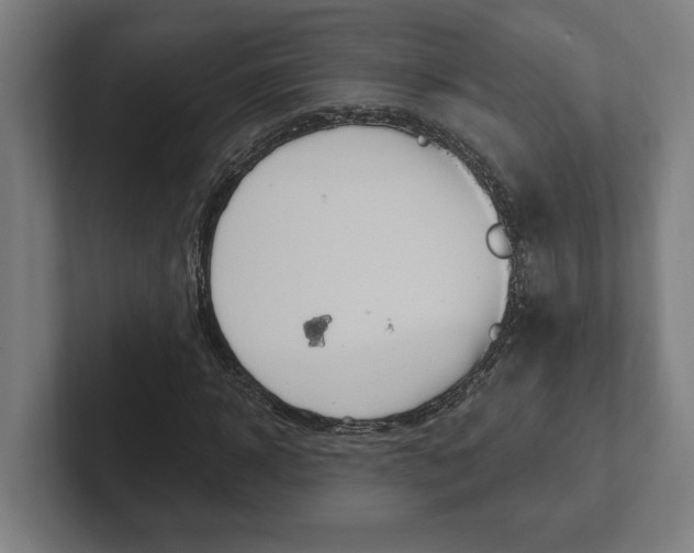 X0000102800918200808180929