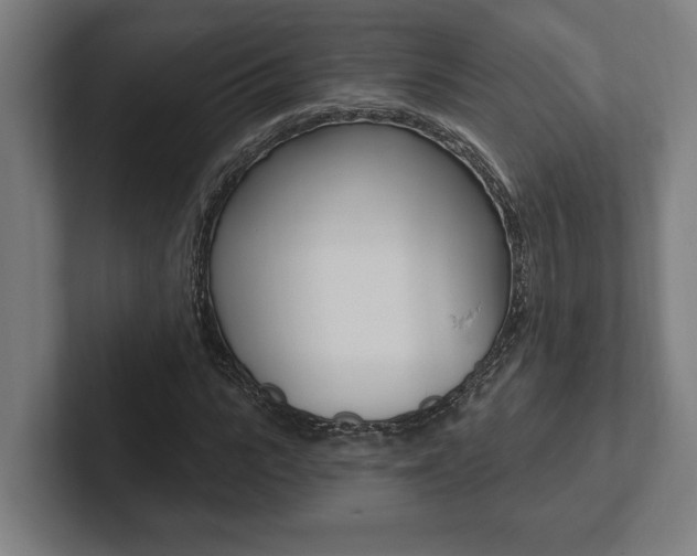 X0000102800919200808180929