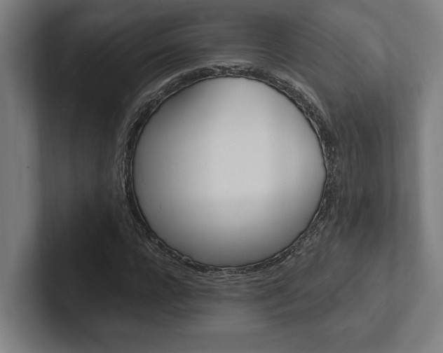 X0000102800920200808180929