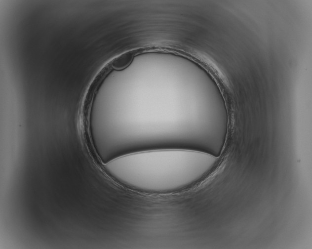 X0000102800924200808180929
