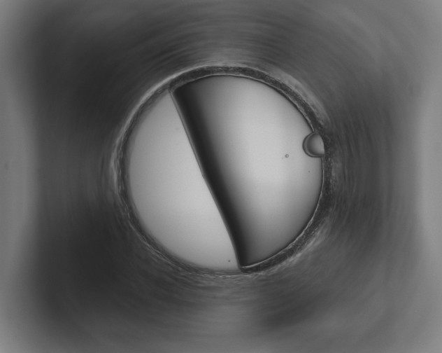 X0000102800926200808180929