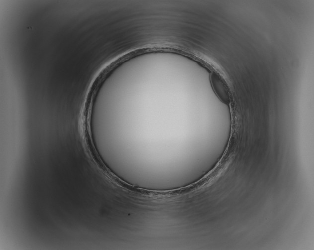 X0000102800928200808180929