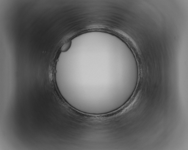 X0000102800929200808180929