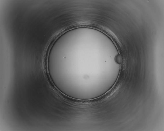X0000102800930200808180929