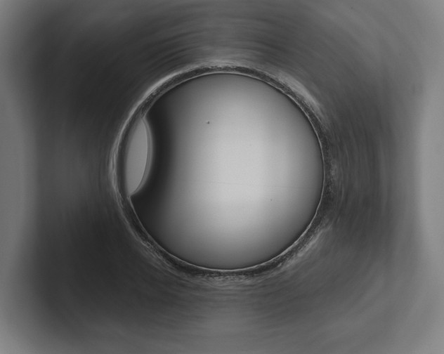 X0000102800934200808180929