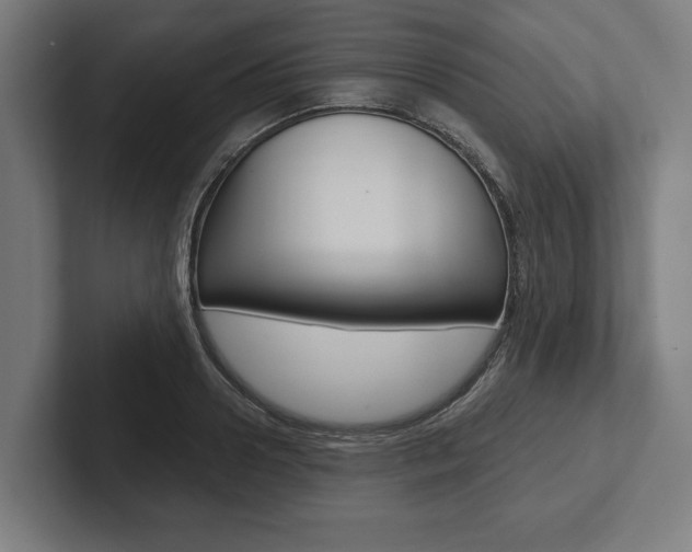 X0000102800938200808180930