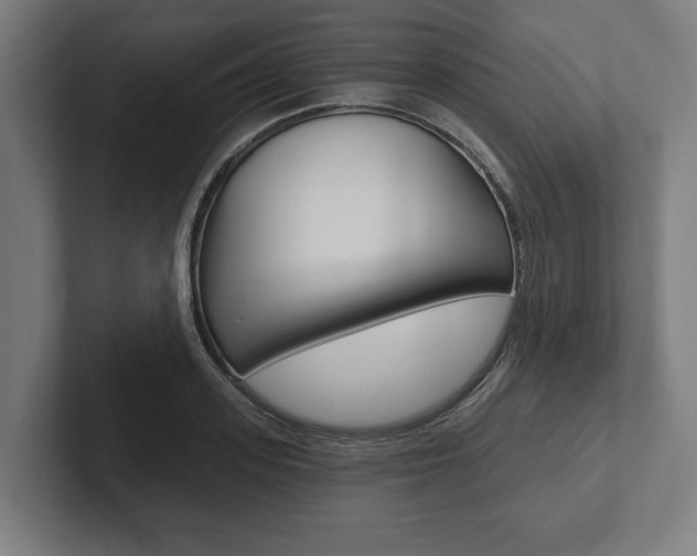 X0000102800939200808180930