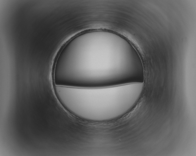 X0000102800943200808180930