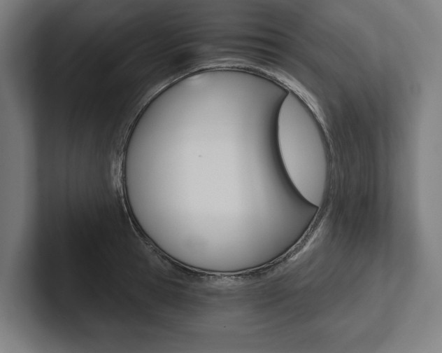 X0000102800945200808180930