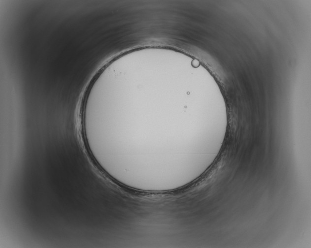 X0000102800950200808180930