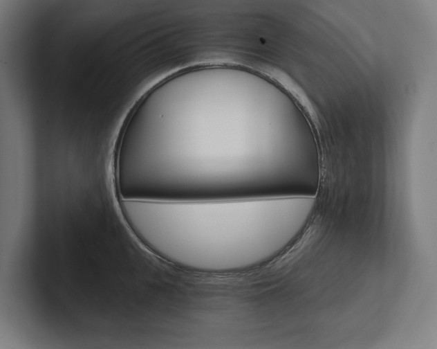 X0000102800951200808180930