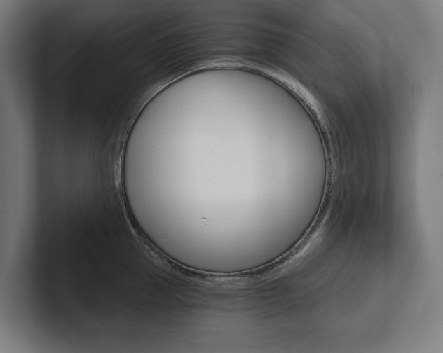 X0000102800953200808180930