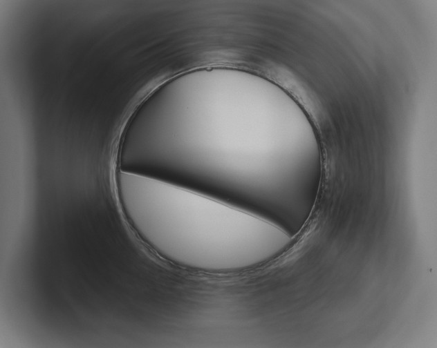 X0000102800954200808180930