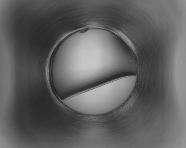X0000102800955200808180930