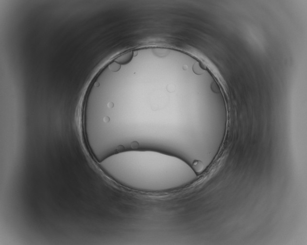 X0000102800957200808180930