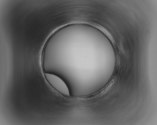 X0000102800958200808180930