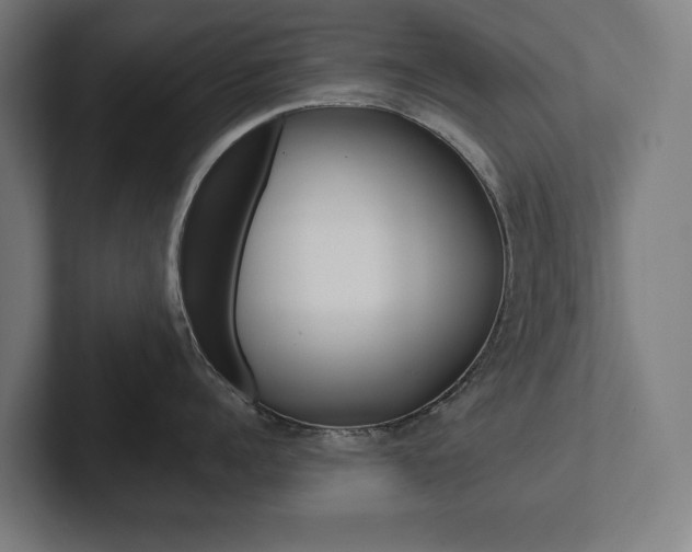 X0000102800960200808180930