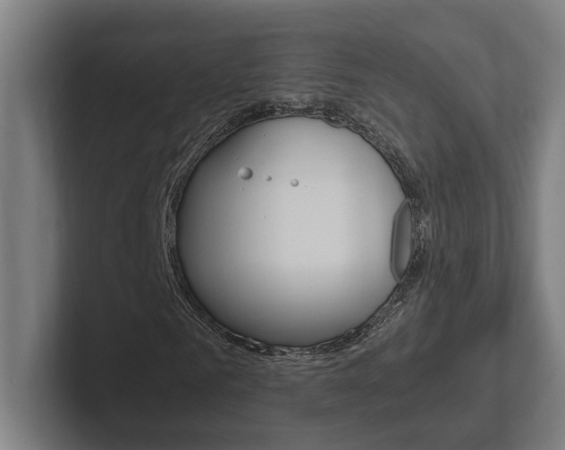 X0000102800961200808180929