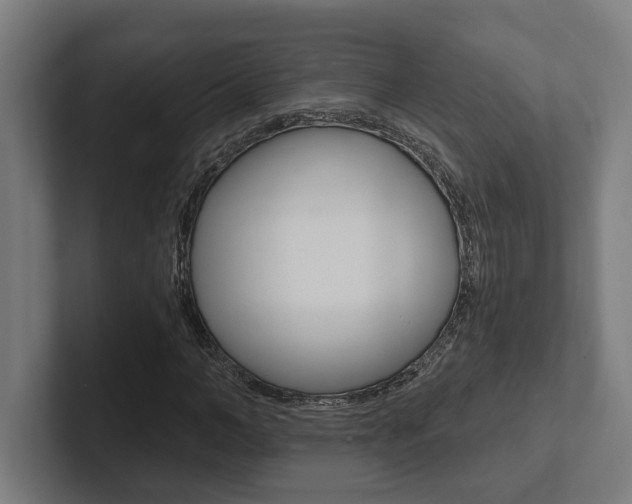 X0000102800966200808180929