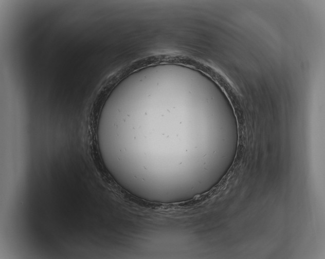 X0000102800967200808180929