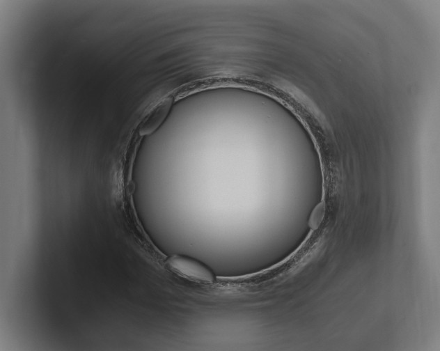 X0000102800969200808180929