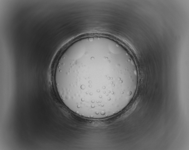 X0000102800974200808180929
