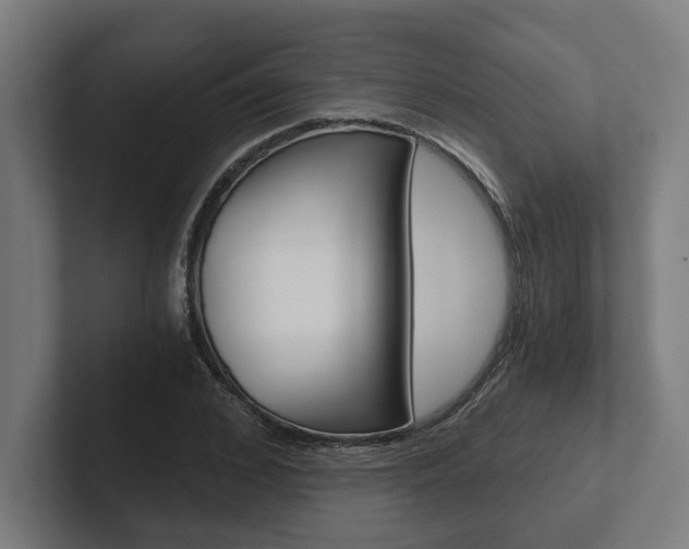 X0000102800976200808180929