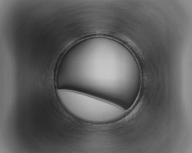 X0000102800977200808180929